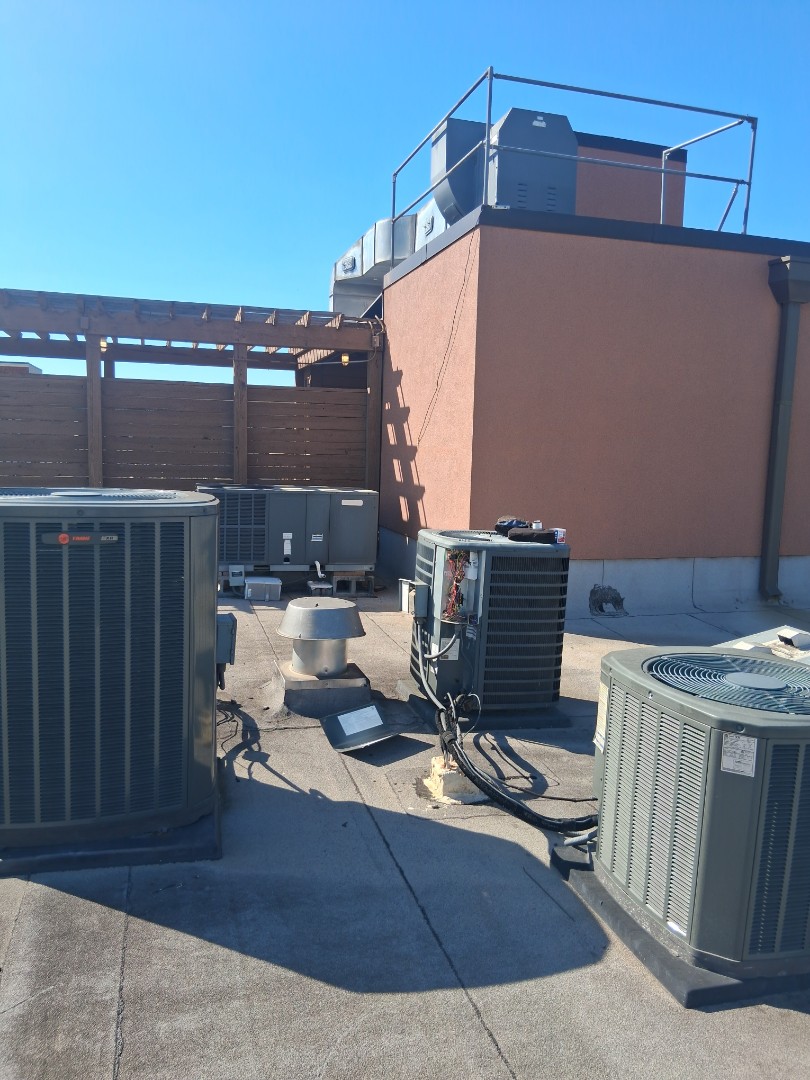 Rooftops on a beautiful day. Gotta love it!