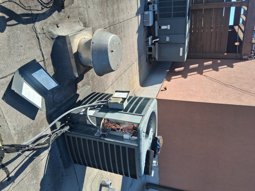 Rooftops on a beautiful day. Gotta love it!