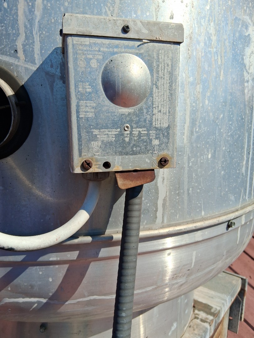 annual belt replacement 