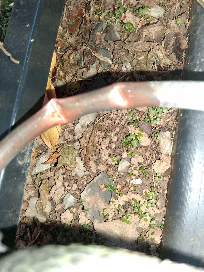 Maintenance on hvac system. Will repair leak and replace capacitor for the indoor furnace in Decatur ga