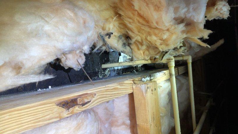 Documented significant water damage and mold contamination in attic insulation system, with extensive dark staining indicating moisture intrusion requiring remediation. Additionally inspected bathroom shower enclosure with chrome fixtures and white surfaces, confirming proper installation of mounting hardware and door framing components.