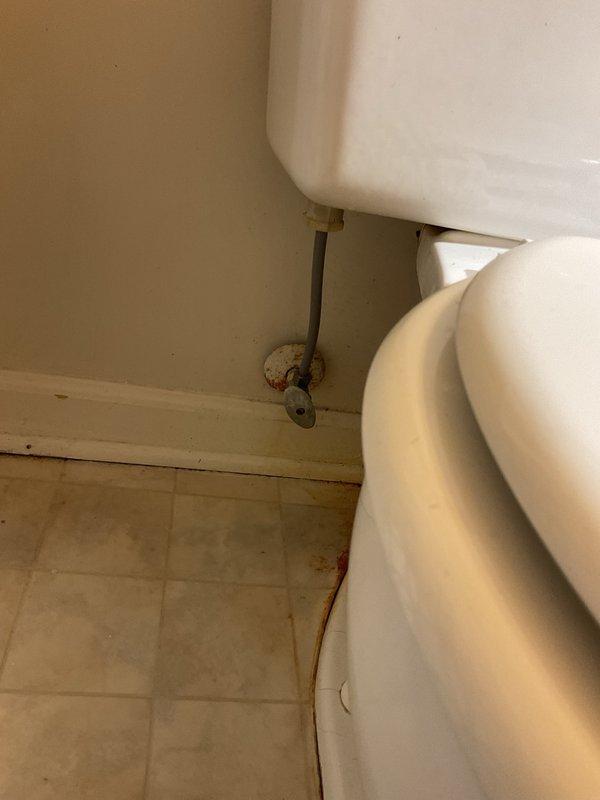 Completed toilet installation in residential bathroom. Replaced existing fixture with new white porcelain two-piece toilet, connected water supply line to wall-mounted shutoff valve, and verified proper operation and seal at base. All plumbing connections tested and confirmed leak-free.
