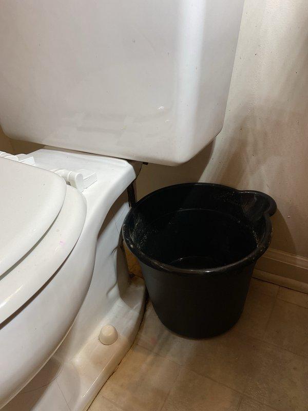 Completed toilet installation in residential bathroom. Replaced existing fixture with new white porcelain two-piece toilet, connected water supply line to wall-mounted shutoff valve, and verified proper operation and seal at base. All plumbing connections tested and confirmed leak-free.