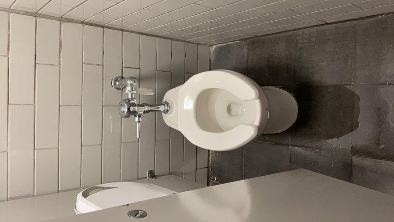 Performed routine commercial restroom maintenance and cleaning service. Serviced three wall-mounted urinals with fresh deodorizer blocks and cleaned fixtures to maintain sanitary conditions. Mopped and sanitized tile flooring in both the urinal area and adjacent toilet room, addressing water spots and high-traffic wear patterns. Inspected and wiped down all porcelain fixtures, wall-mounted flush valves, and surrounding surfaces including vanity countertop and drain fixtures. All restroom facilities left in clean, operational condition meeting commercial hygiene standards.
