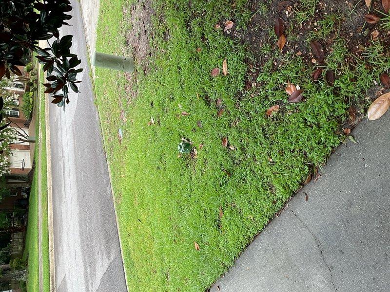 Repaired busted main water line in Lexington, SC
