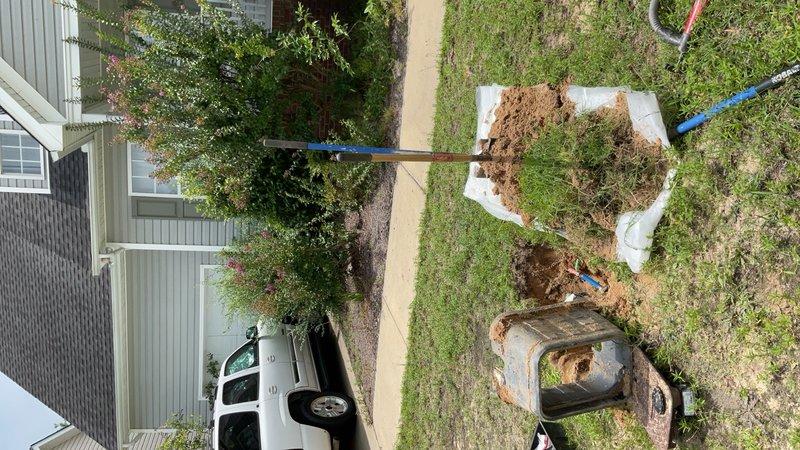 Performed excavation and access work on underground septic tank system. Exposed concrete septic tank structure, cleared access point, and addressed standing water accumulation in system components. Utilized pump-out equipment as indicated by visible hoses, removed debris, and inspected submerged PVC piping connections for proper function and potential blockages.