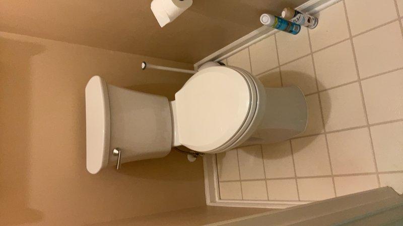 Completed installation documentation of bathroom toilet fixture and associated hardware. Toilet paper holder mounted securely to wall with proper chrome finish matching existing bathroom fixtures. Water supply line and shut-off valve confirmed in proper position and accessible for future maintenance needs.