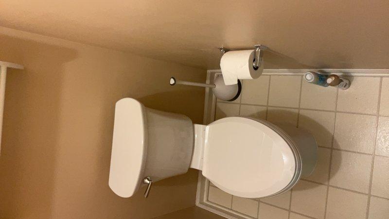 Completed installation documentation of bathroom toilet fixture and associated hardware. Toilet paper holder mounted securely to wall with proper chrome finish matching existing bathroom fixtures. Water supply line and shut-off valve confirmed in proper position and accessible for future maintenance needs.