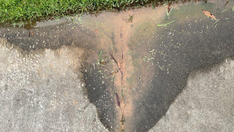 Plumber can repair leak on main water line in yard