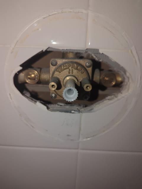 Anacortes, WA - Delta faucet handle install and diverter replacement. LaVergne Plumbing and Heating. Small plumbing project? We can help!
