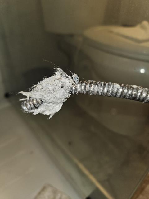 Bellingham, WA - Clearing a main line clog. Snaking all the drains in the home to restore proper flow
