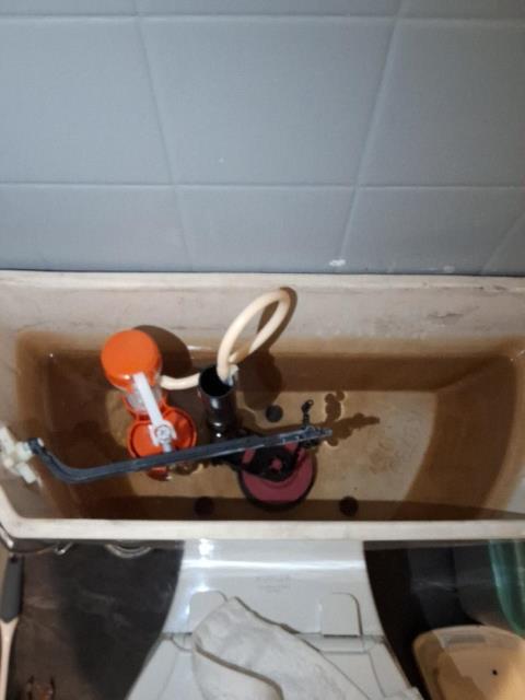 Bellingham, WA - 	Toilet repair and kitchen faucet repair