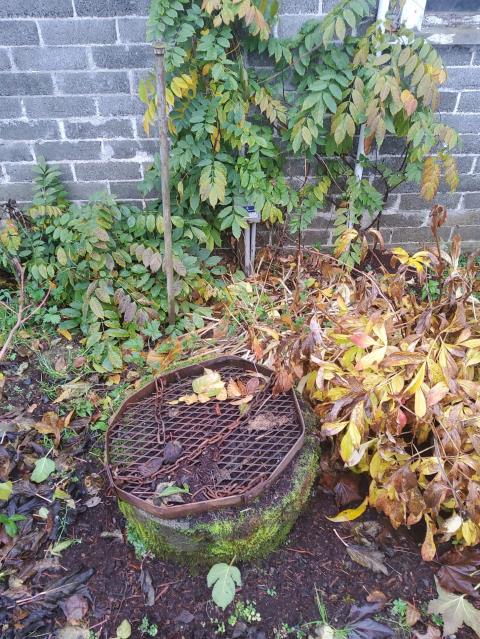 Custer, WA - You do not have water at all? Replacing a well pump for a customer today!

Call today for services today!