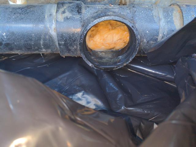 Bellingham, WA - Main line clogs don't stand a chance! Spartan tools and the best local plumbers!