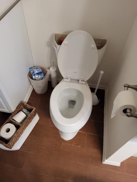 Bellingham, WA - Main line clog with a full septic. Pumping and snaking. We do it all. 