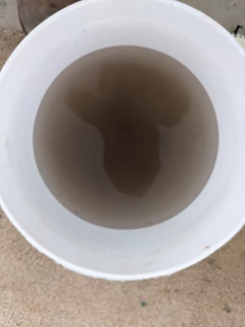 Bellingham, WA - Water heater maintenance. Removing the build up and sediment. 