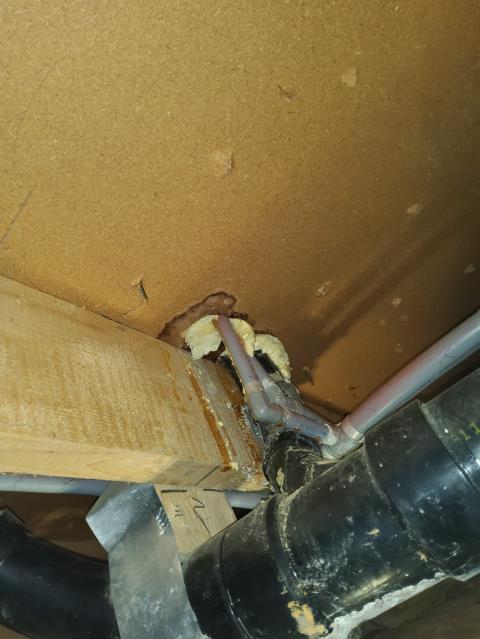 Bellingham, WA - Working on a Leak under the home- sewer pipe