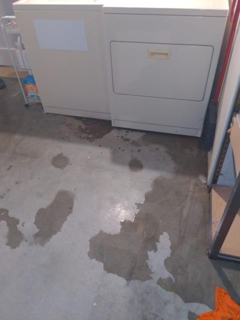 Anacortes, WA - Sewer drain clogged in the basement?

We can help you