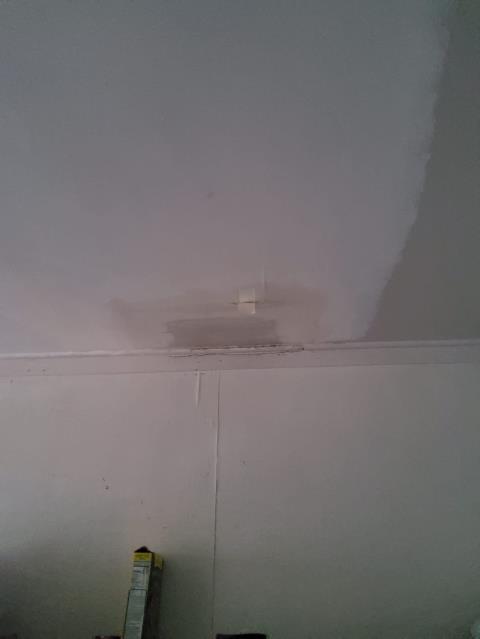 Bellingham, WA - Bathroom water leak repair 