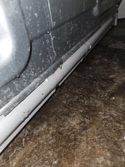 Burlington, WA - Laundry room water leak detection and repair. Water line in the wall burst. 