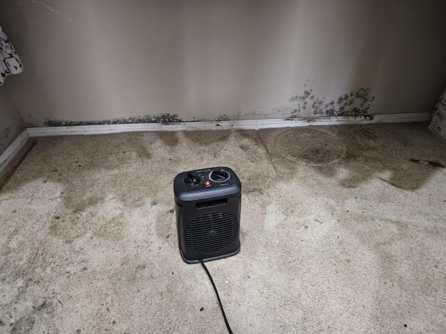 Burlington, WA - Laundry room water leak detection and repair. Water line in the wall burst. 
