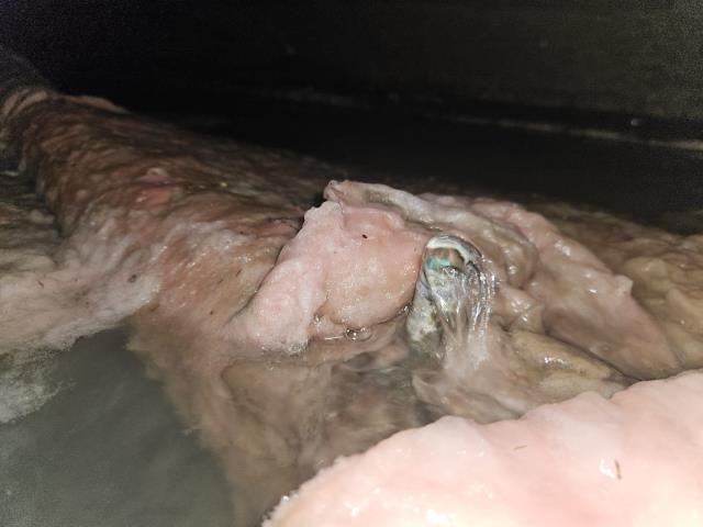 Sumas, WA - Flooded crawlspace with burst water line