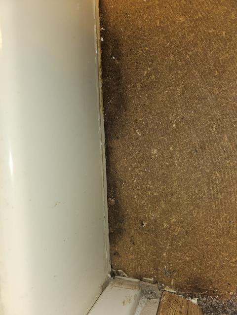 Anacortes, WA - Water damage from a leaking shower head and valve. Full replacment 