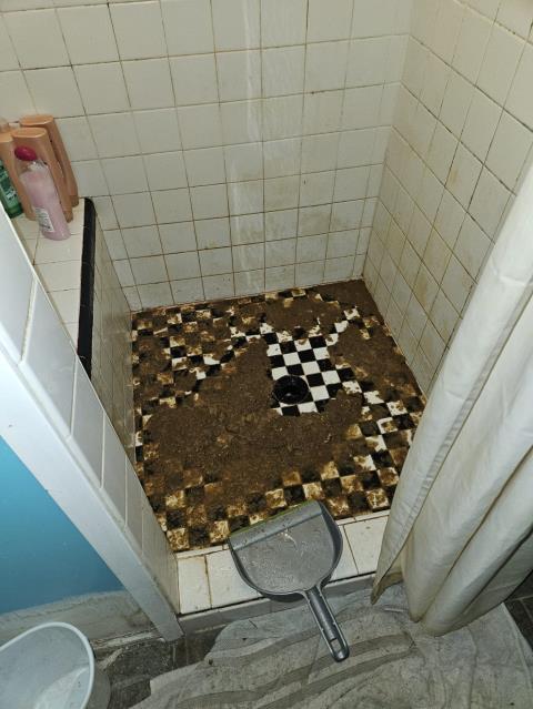 Sumas, WA - Sewer main line clogged