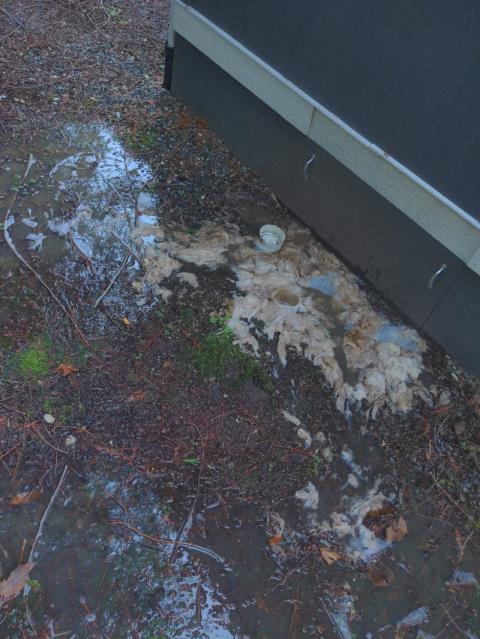 Bellingham, WA - Clearing a main line clog in a mobile home park