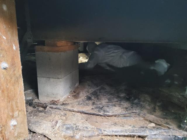 Ferndale, WA - Water leak detection and repairs. Water leak in the bathroom and under the home. 