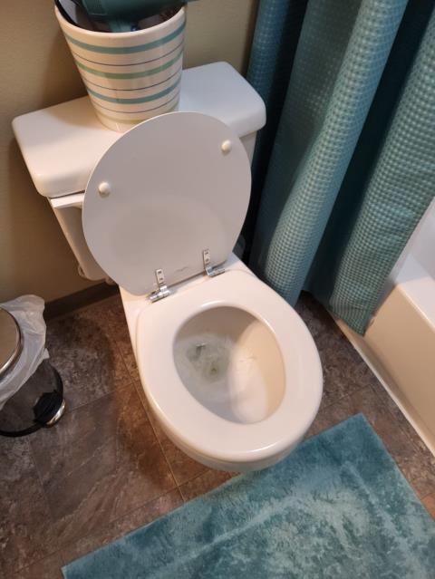 Bellingham, WA - Sewer main line clogged jetting services. 