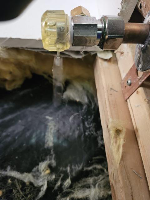 Bellingham, WA - Leaking shut off valve replacement