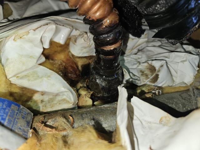 Bellingham, WA - Fixing a leak between the water heater (exterior) and closet- source unknown