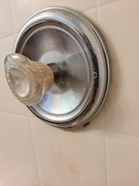 Blaine, WA - Installing customer supplied kitchen faucet and new shower fixtures and trim kit. 