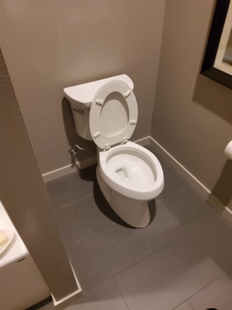 Anacortes, WA - Main line clog