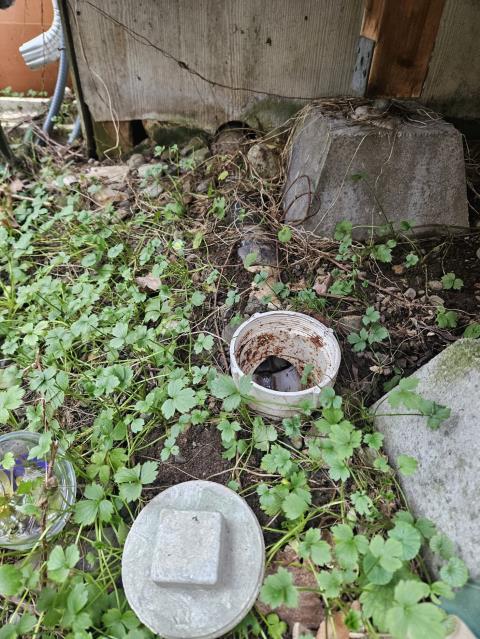 Ferndale, WA - Clogged drains are not fun! That is why you call the expert plumbers for services the same day! 

Call LaVergne's Plumbing & Heating! 