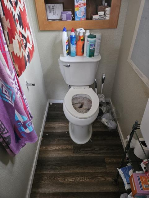 Ferndale, WA - Clogged drains are not fun! That is why you call the expert plumbers for services the same day! 

Call LaVergne's Plumbing & Heating! 