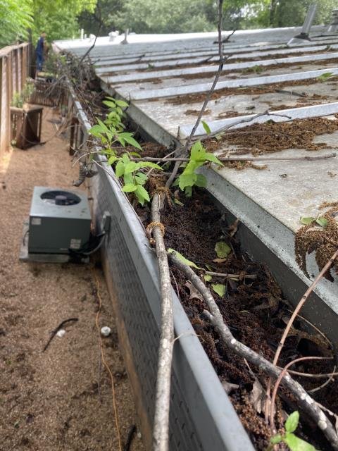Austin, TX -  I cleaned out the gutters of this home in Austin, TX. After cleaning, I installed Gutter Guards.