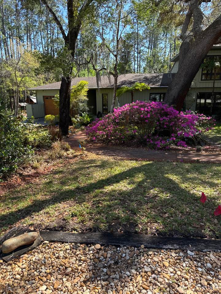 Ormond Beach, FL - Gutter guard and roof blowoff. Pollen season is in full effect. 