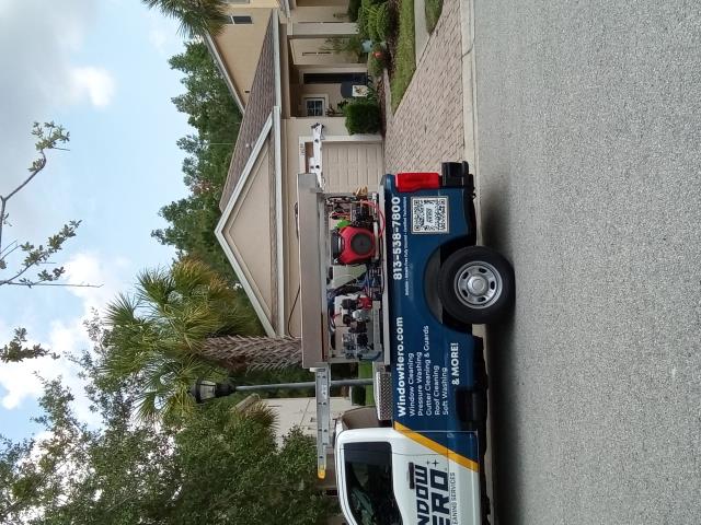 Tampa, FL - A soft wash roof clean to extend life of roof  Driveway pressure  washing to refresh concrete  and hardscapes