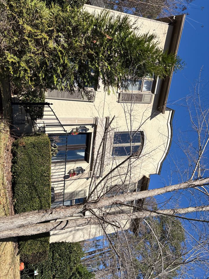 Birmingham, AL - Vestavia Hills, AL doing gutter leaf removal to help facilitate proper water, flow and drainage.