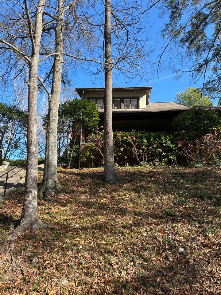 Birmingham, AL - Hit exterior windows here