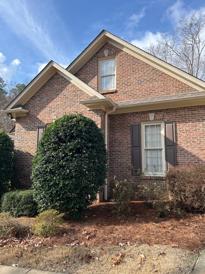 Birmingham, AL - Did a gutter guard brush off here