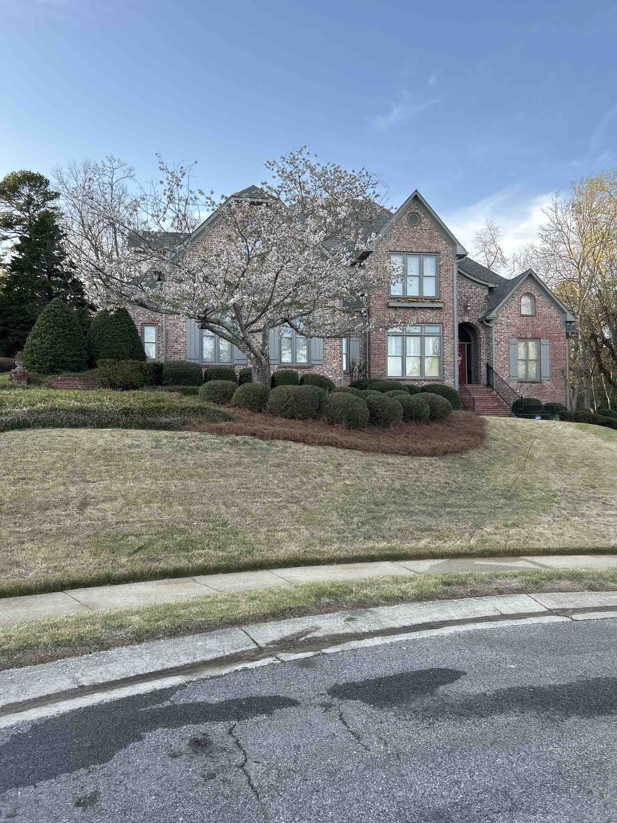 Birmingham, AL - Did a roof wash here on the back of home as well as pressure washing around the pool doing the driveway, front steps, and front walkways