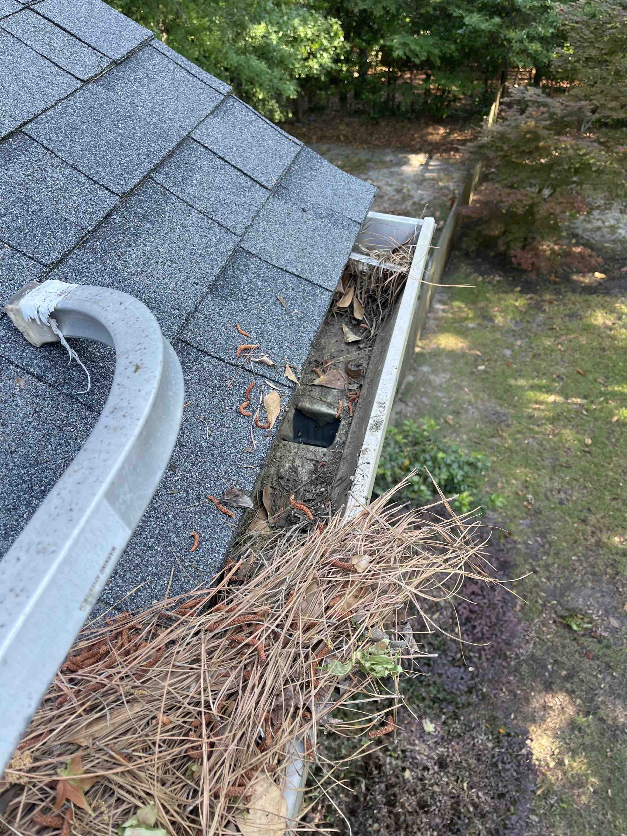 Wilmington, NC - 2nd story gutter cleaning!