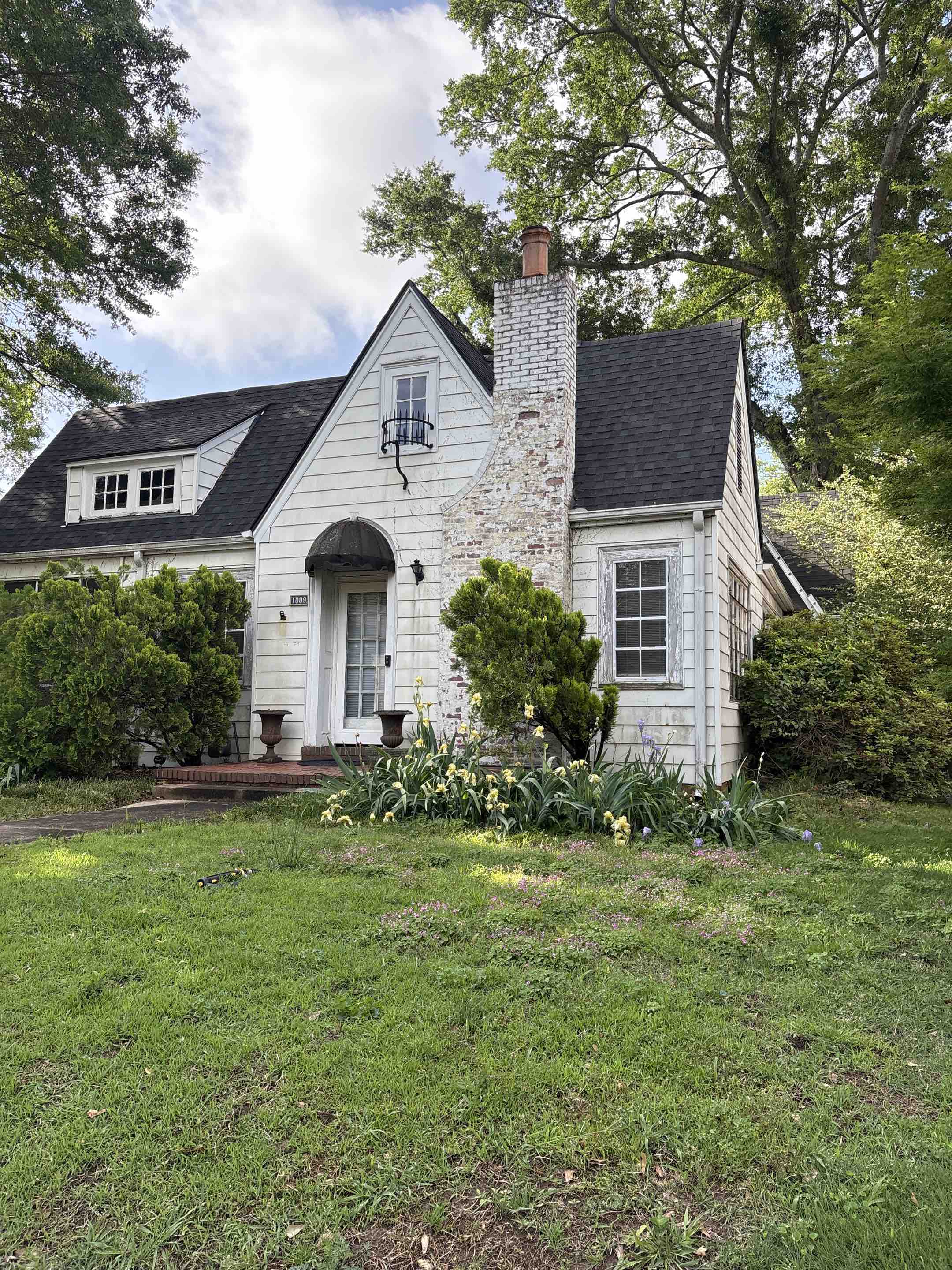 Birmingham, AL - Homewood, AL doing a gutter leaf removal to help facilitate proper water, flow, and drainage throughout gutter systems