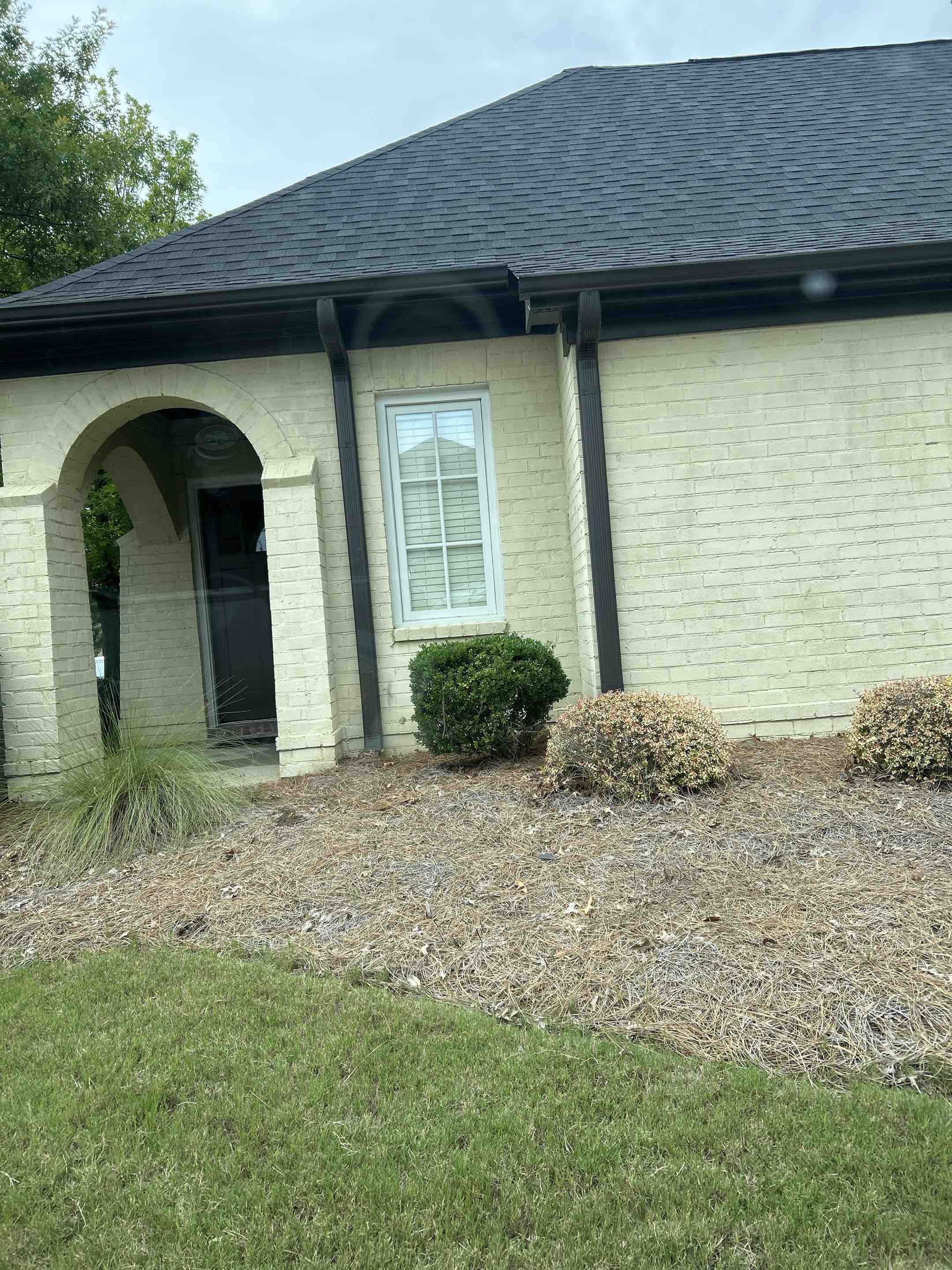 Birmingham, AL - Did the gutters here the exterior windows and driveway and patio pressure washing here