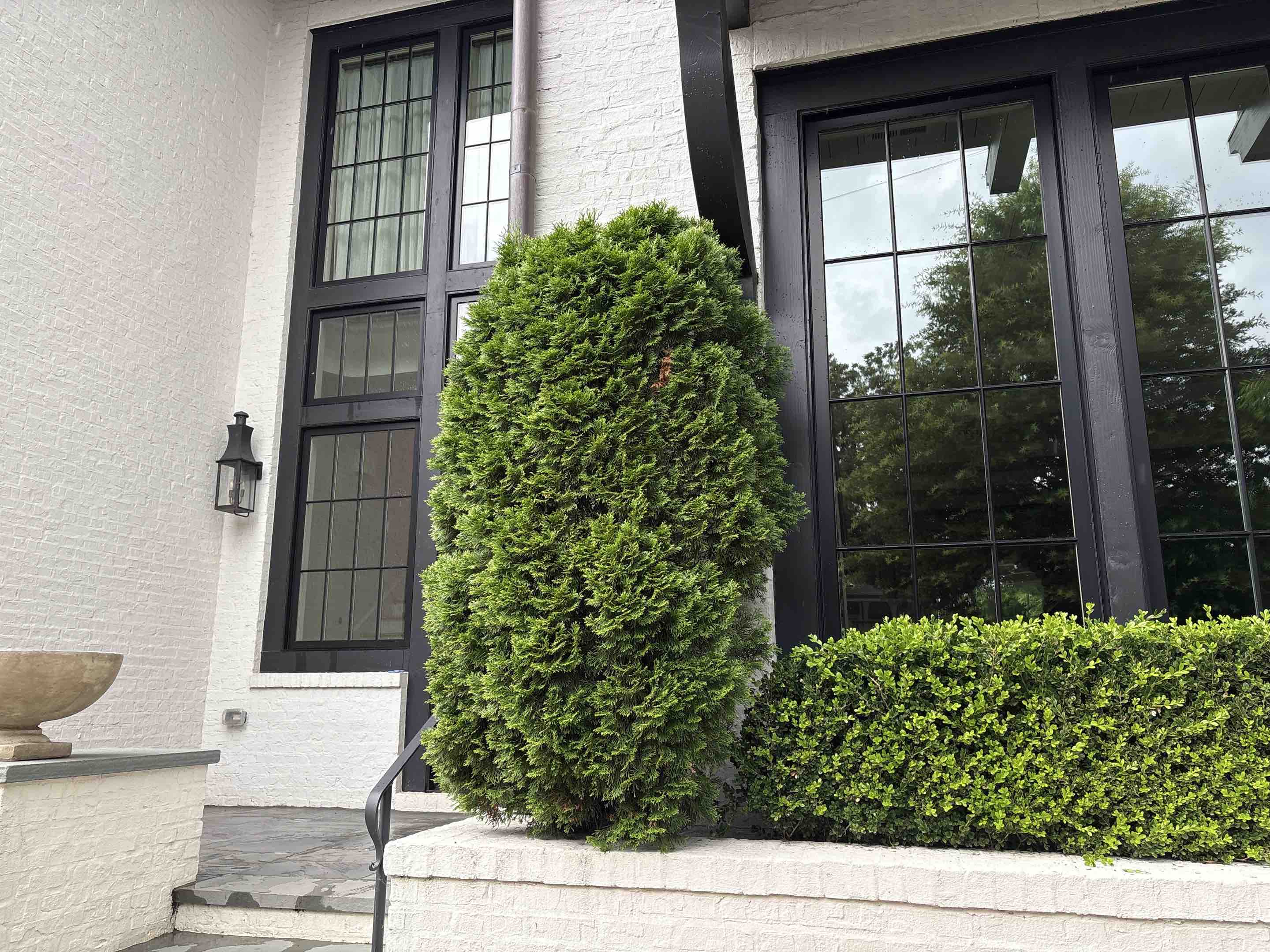 Birmingham, AL - Mountain Brook, Alabama doing an interior and exterior window cleaning for a nice clean streak free finish.