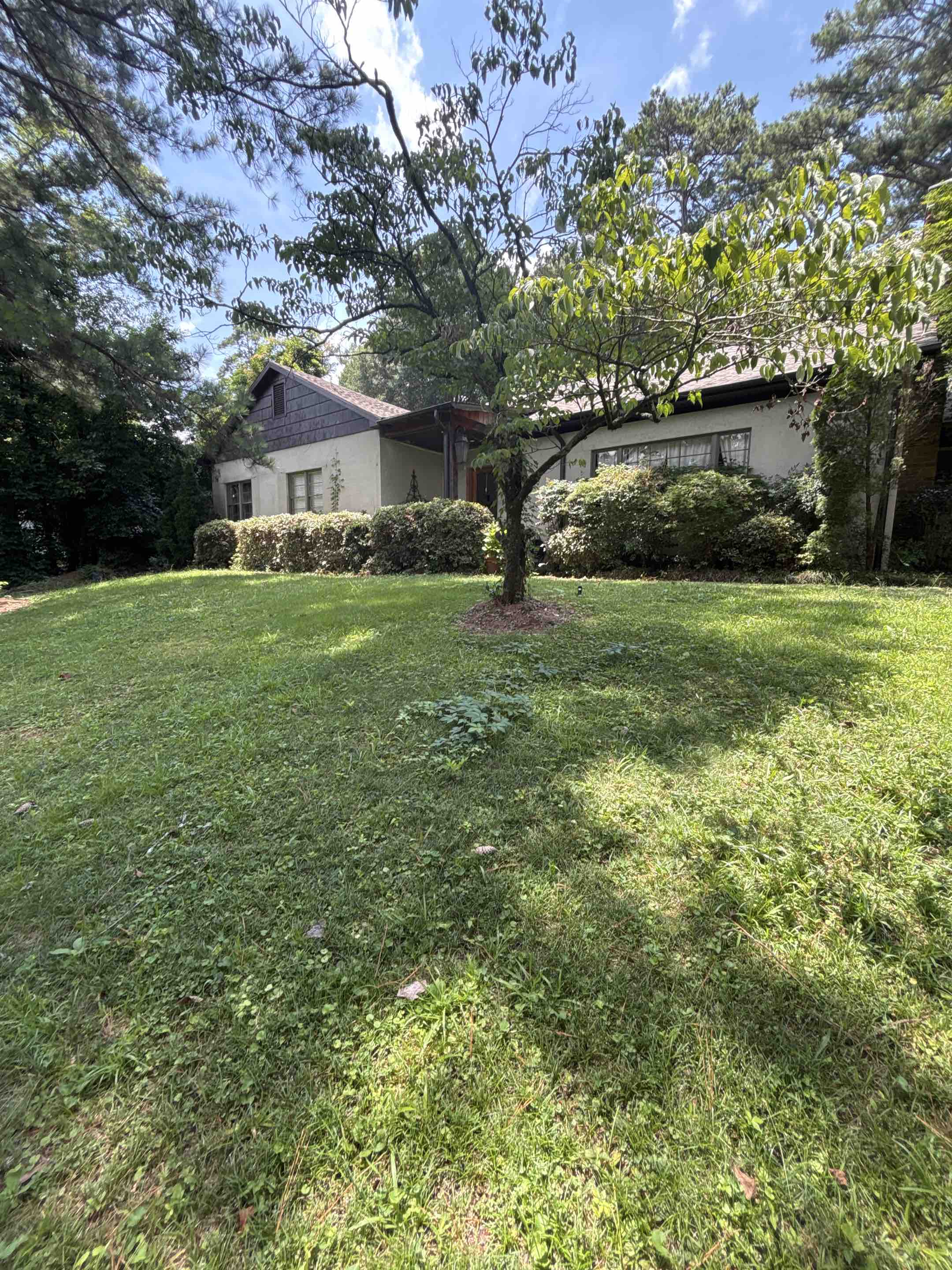 Birmingham, AL - Exterior windows 