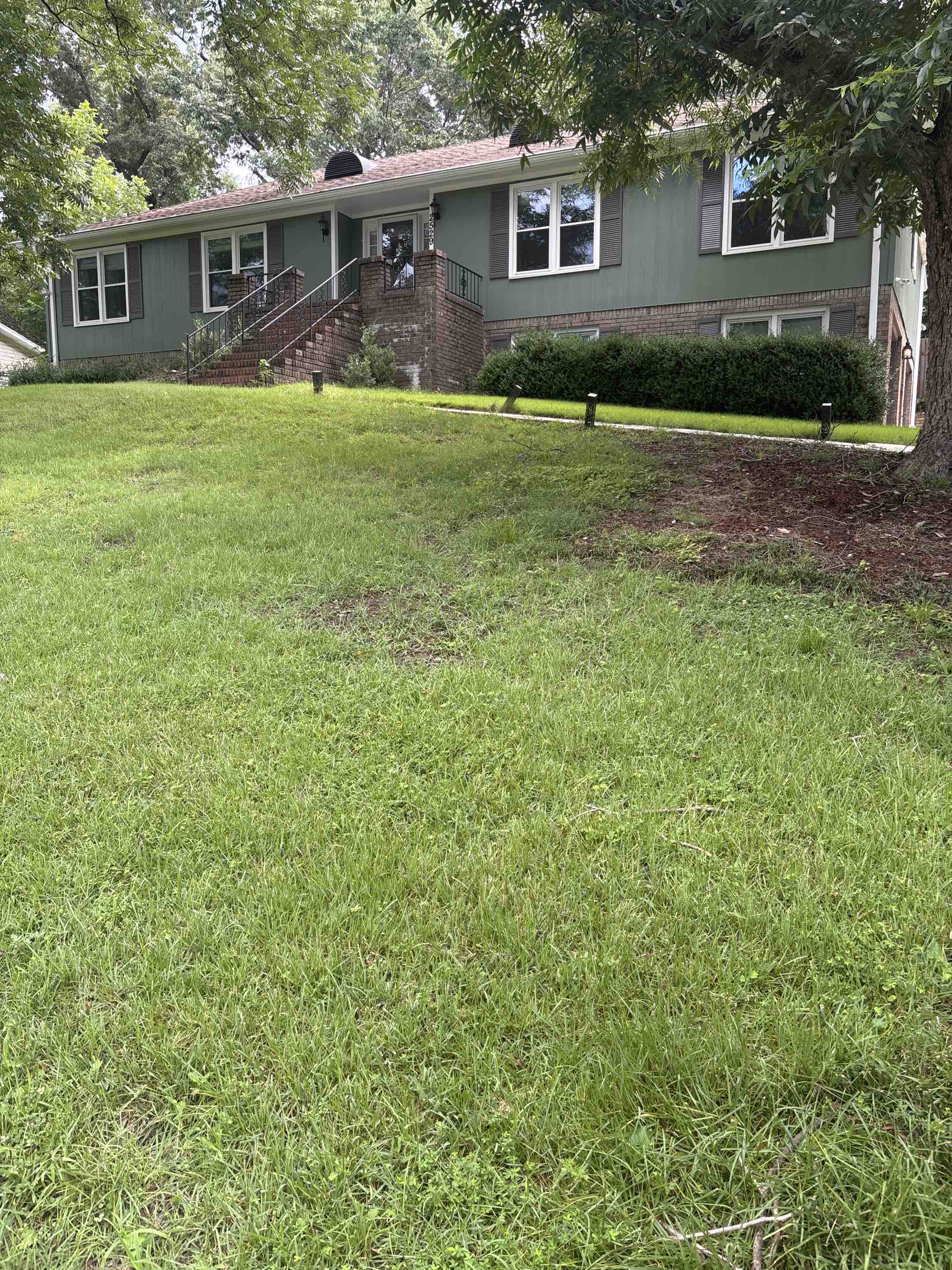 Birmingham, AL - Gutter cleaning
